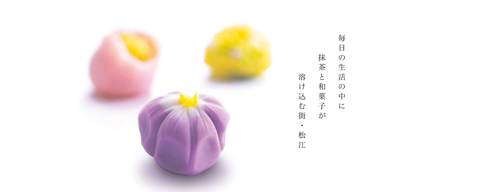 彩雲堂 彩雲堂とは 毎日の生活の中に抹茶と和菓子が溶け込む街・松江
